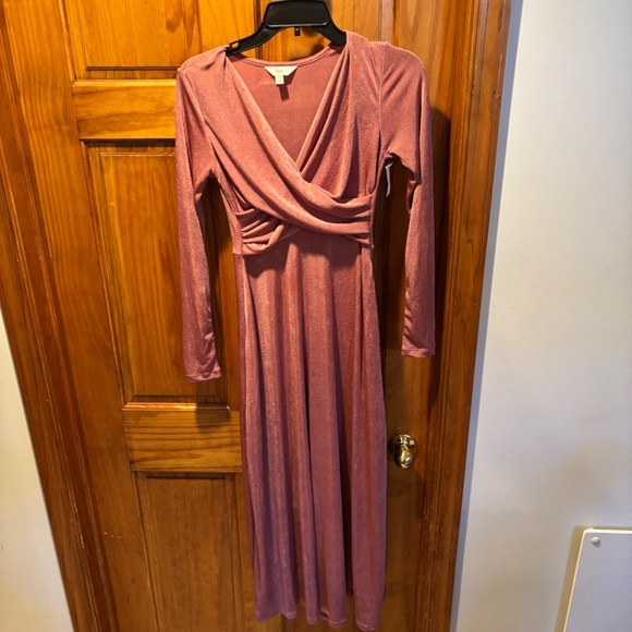 Ripe Maternity Portia Maternity & Nursing Dress in Rouge XS - Picture 2 of 7